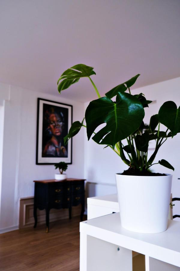 Le Loft Pasteur Apartment Дол Екстериор снимка